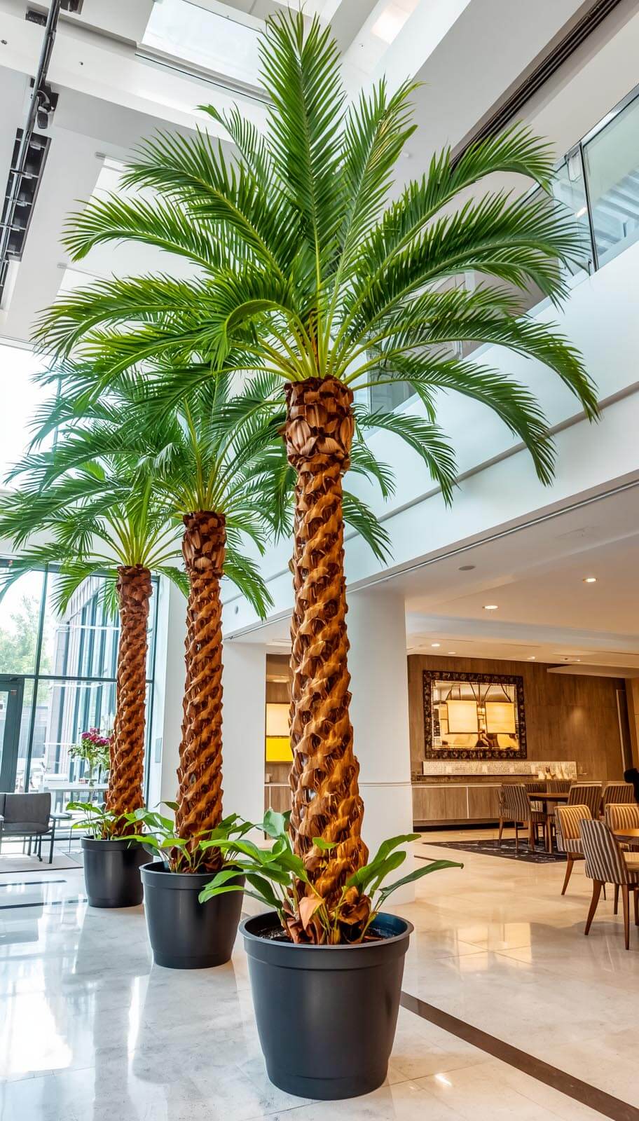 Group of tall, healthy tropical indoor palm trees planted inside custom built-in architectural ground planter boxes.